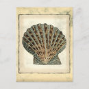 Search for rustic nautical postcards Nature