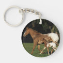Search for mare key rings Mare and foal