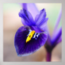 Search for irie posters Purple