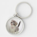 Search for folding key rings Animal