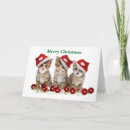 Search for cute kitten christmas cards Pet