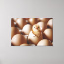 Search for animals canvas prints Chicken