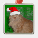 Search for orange tabby cat christmas tree decorations Kitty
