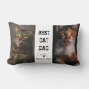 Search for dad cushions Minimalist