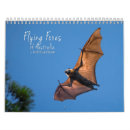 Search for bats photography Wildlife