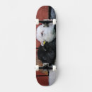 Search for collections skateboards Collectable