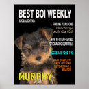 Search for yorkshire terrier posters Dogs