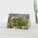 Search for headstone cards Tombstone