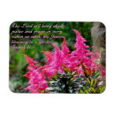 Search for 11 magnets Motivational