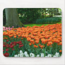 Search for spring tulips mousepads Orange