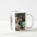 Search for belgian malinois mugs Shepherd
