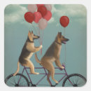 Search for bicycle stickers Funny dogs
