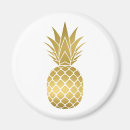 Search for pineapple magnets Hawaiian