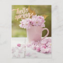 Search for spring cherry blossom postcards Sakura