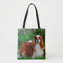 Search for breeder bags Animal