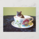 Search for apparel postcards Animal
