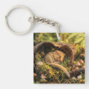 Search for dormouse Sleeping