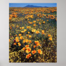 Search for backcountry art Danita delimont