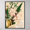 Search for vanilla posters Retro