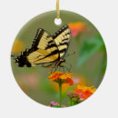 Search for yellow butterflies christmas tree decorations Nature