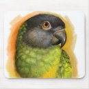 Search for bird portrait mousepads Wild life