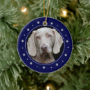 Search for pet memorials Loss of dog