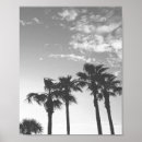 Search for black and white tropical posters Palm trees