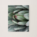 Search for geometry photography Succulent