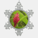Search for ginger christmas tree decorations Pink