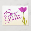 Search for tulip wedding postcards Tulips