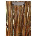 Search for bamboo clipboards Asia