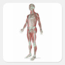 Search for human body part stickers Small business