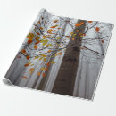 Search for fallen leaf Landscape