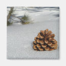 Search for pine cone magnets Snow