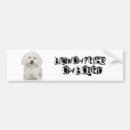 Search for bichon frise bumper stickers Animals