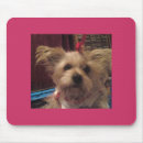 Search for dog for her mousepads Cute