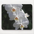Search for orchids mousepads Nature