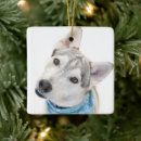 Search for alaskan malamute christmas tree decorations Siberian husky