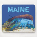 Search for acadia electronics Maine