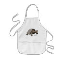 Search for tortoise aprons Shell