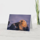 Search for bite horizontal cards Cute