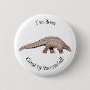 Search for nocturnal badges Animal