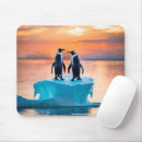 Search for arctic bird electronics Penguin
