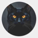 Search for black cat eyes stickers Pet