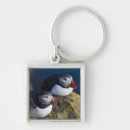 Search for sevens key rings Blue