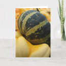 Search for pumpkin patch photography Pumpkins