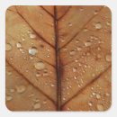 Search for brown background stickers Colour