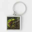 Search for frog key rings Arboreal