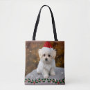 Search for maltese bags Cute