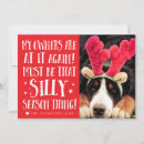 Search for funny dog quotes cards Cat